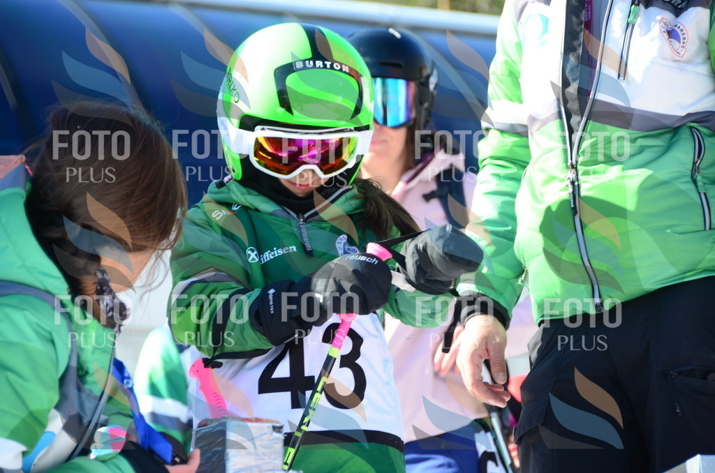 C5078 | holidayphoto