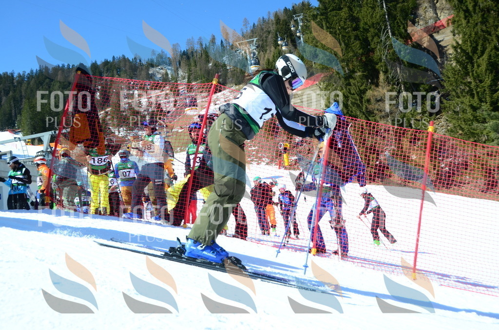 C6348 | holidayphoto