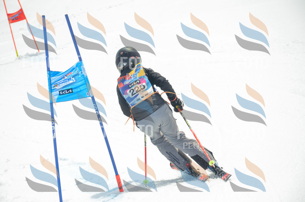 _ELE7239 | holidayphoto