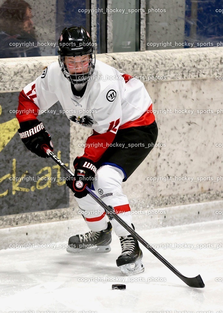 MOWE4153 | hockey sports photos, Pressefotos, Sportfotos, hockey247, win 2day icehockeyleague, Handball Austria, Floorball Austria, ÖVV, Kärntner Eishockeyverband, KEHV, KFV, Kärntner Fussballverband, Österreichischer Volleyballverband, Alps Hockey League, ÖFB, 