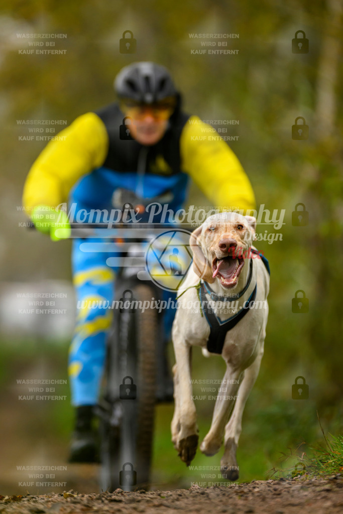 MompixPhotography_20TSB_E6_Bike-122 | PayLife