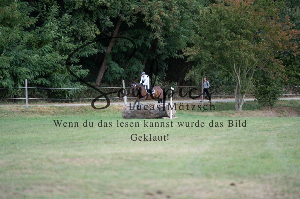 A7V01057 | Pferdefotograf