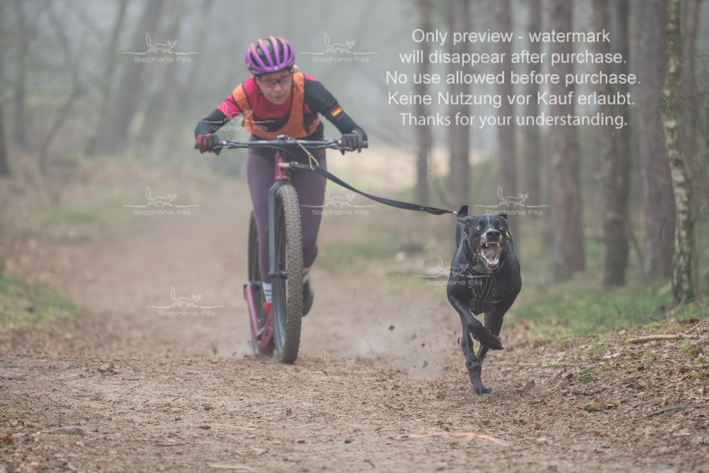 Scooter1-42 | stephaniefillaphotographie - Realisiert mit Pictrs.com