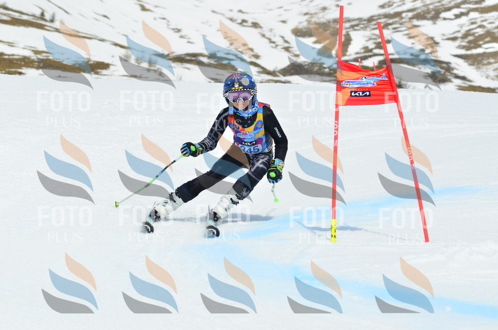 _ELE2613 | holidayphoto