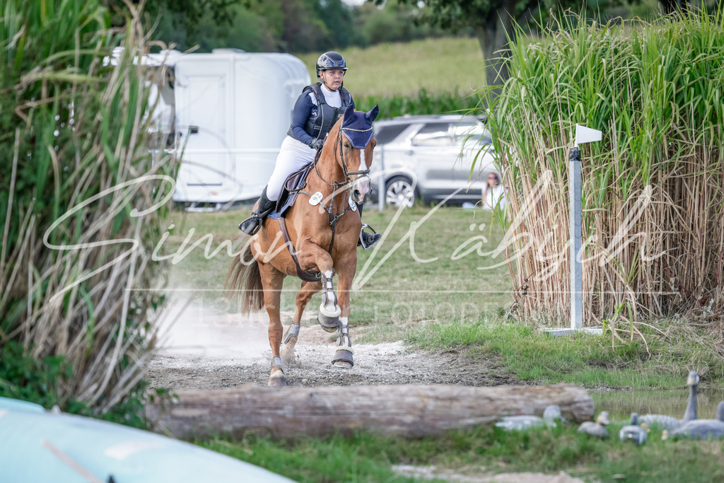 20250906-_3LI7015 | Tierfotografie Pferde, Hunde, Katzen, Haustiere.
Turnierfotografie Reitturniere, Reiten, Springreiten, Dressur in Hanau, dem Main-Kinzig-Kreis und dem Rhein-Main- Gebiet um Frankfurt