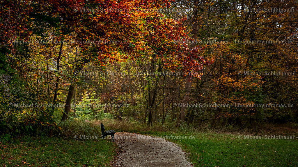 Autumn bank - Nymphenburg Castle - Muncih - Germany | Wildlife- und Landschaftsfotografie als Wandbild, Poster & mehr. Einzigartige Naturmomente aus Neuseeland, Norwegen & weltweit – fotografiert von Michael Schlothauer. - Realisiert mit Pictrs.com