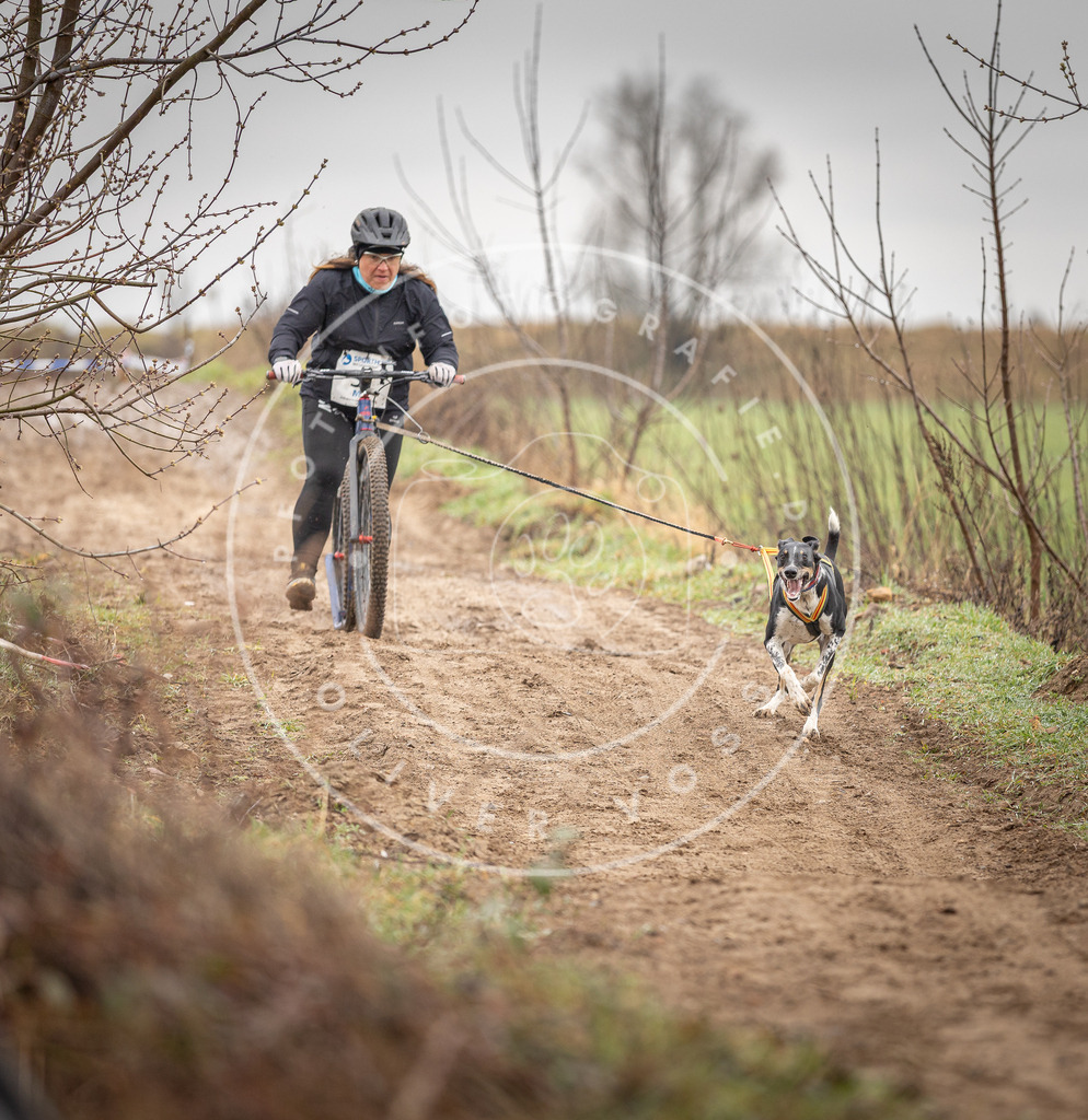 DV3A9240 | Hundefotografie, Tierfotograf, Pfotenfotografie, Fotoshooting Hund, Hunde Portrait, Hundesport, Hundeportraits, Heideshooting, Hunde, Sportfotograf, Hundefotograf, Turnierhundsport, THS,  - Realisiert mit Pictrs.com