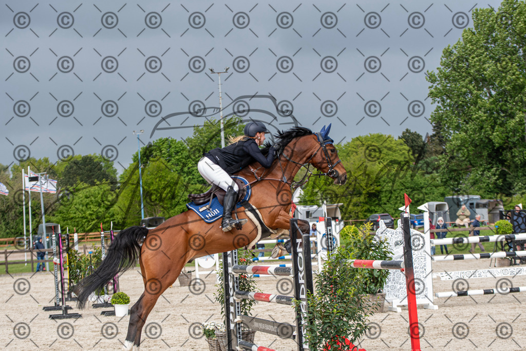 KPT_9872 | andre_photographic