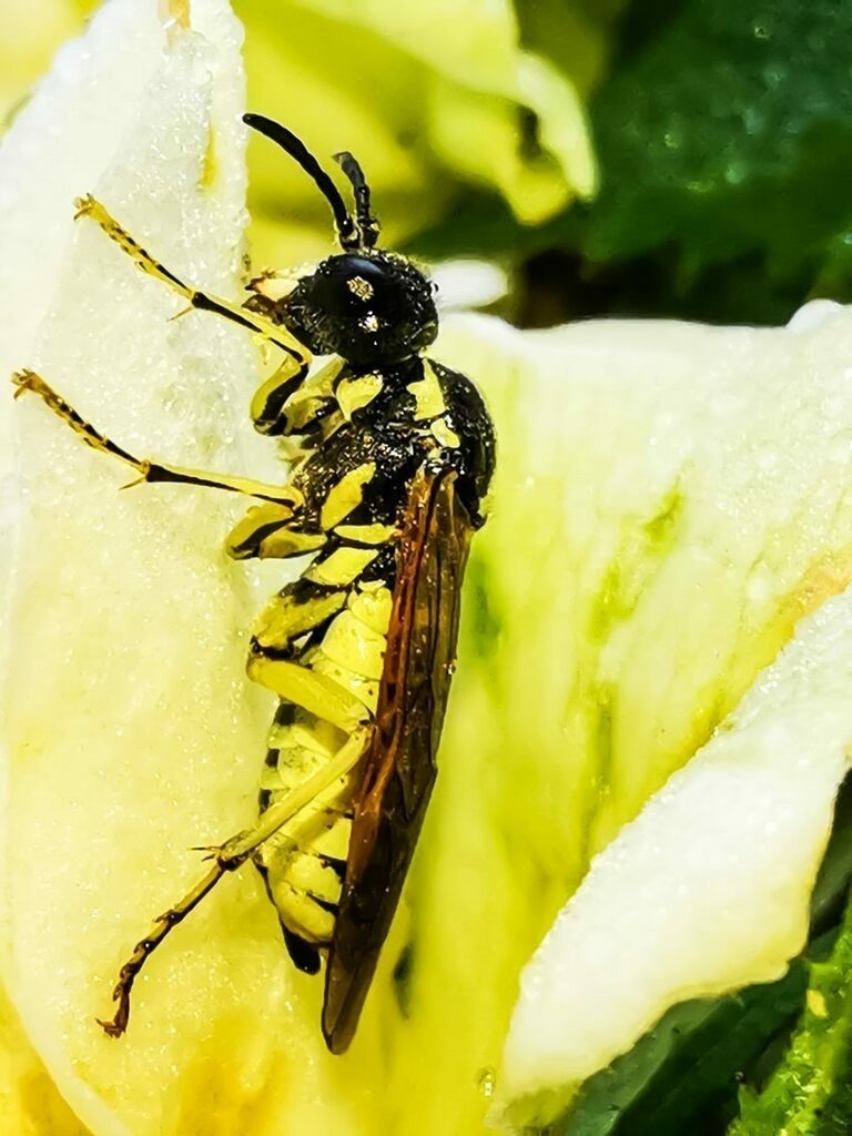 PSX_20220829_214250 | mtkfoto_ - Realisiert mit Pictrs.com