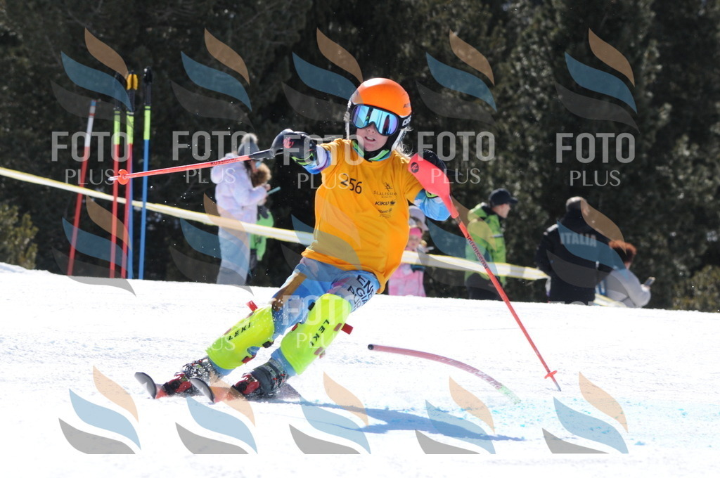 C8886 | holidayphoto