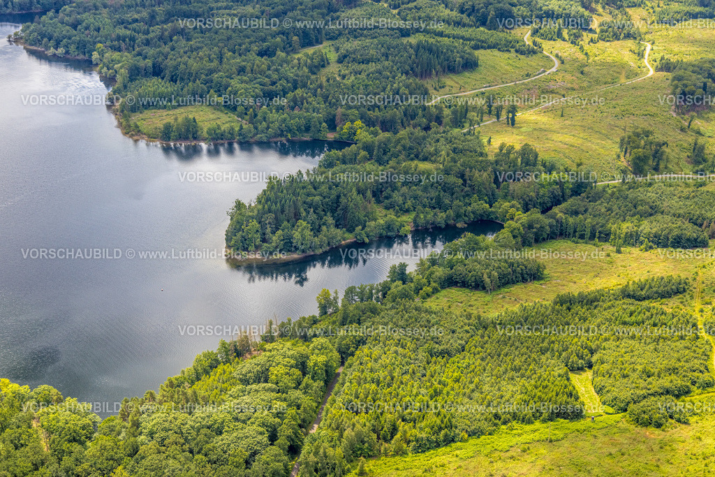Moehnesee240707433 | Luftbild, Möhnesee Landzunge und bewaldeter Uferbereich Delecker Becken, Waldgebiet mit Waldschäden, Günne, Möhnesee, Sauerland, Nordrhein-Westfalen, Deutschland