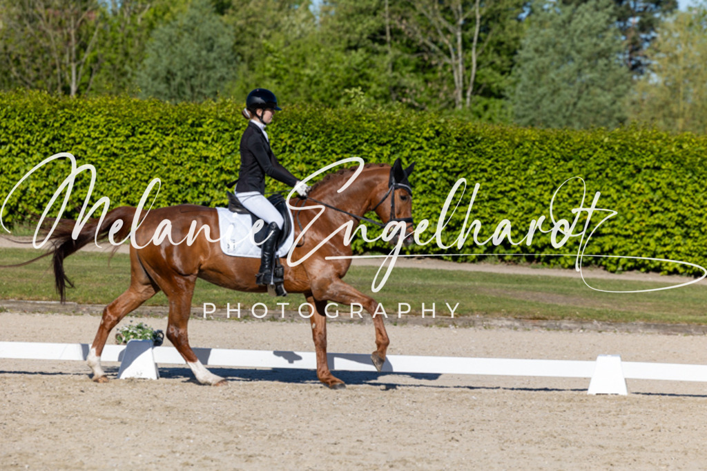 7I8A8827 | melanie-engelhardt-photography - Realisiert mit Pictrs.com