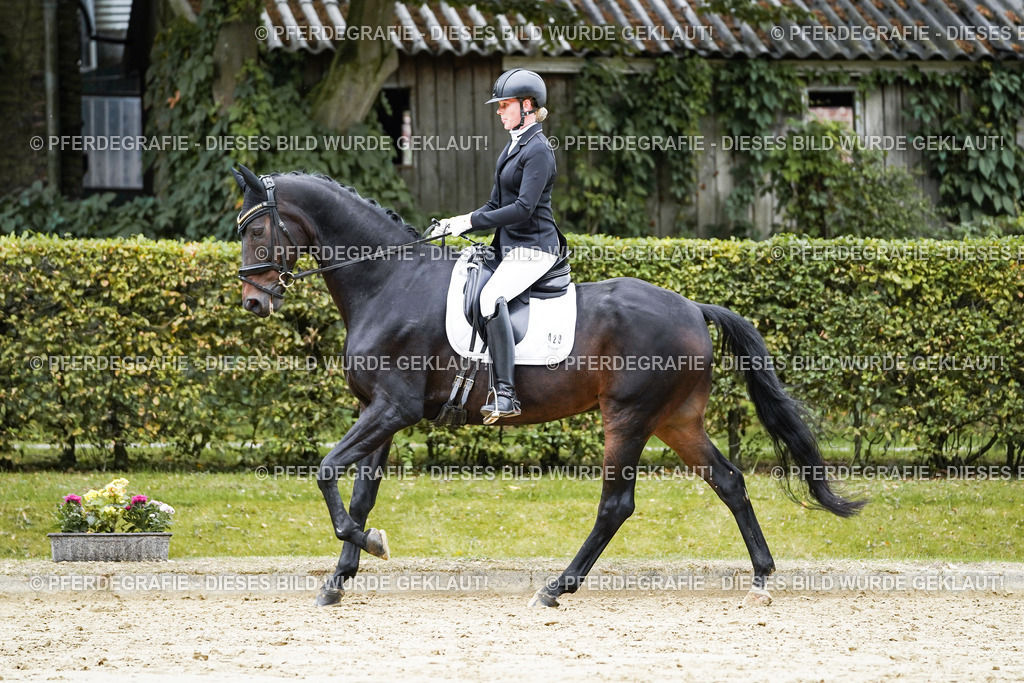 DSC07190 | Pferdegrafie