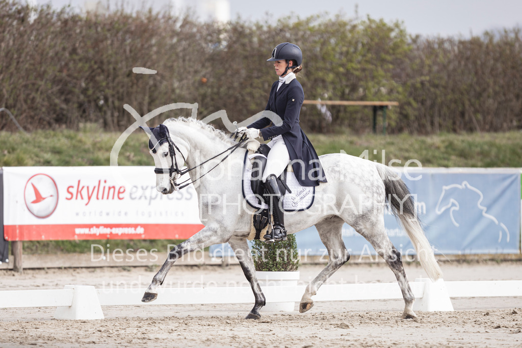 260331_Fruehlingsfest_Dressurreiter-S-410 | Deine schönsten Turniermomente als professionelle Fotos! Entdecke hochwertige Pferdesport-Fotografie im Online-Shop. Jetzt Fotos finden & bestellen!