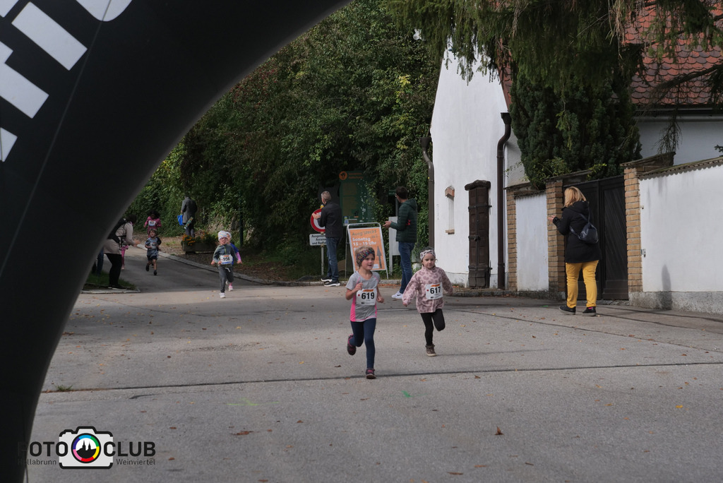 P1017373 | Foto Buchgraber