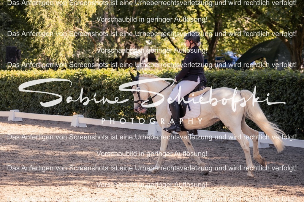 2025_05_31_DSCF3071 | People- und Tierfotografie, Imageaufnahmen, Veranstaltungsfotografie und Wandbilder aus der Natur ★ Made in Germany ✔️ Druck + Downloads ✔️ Naturfotografie in Top Qualität ★ schneller Versand, weltweite Lieferung! - Realisiert mit Pictrs.com