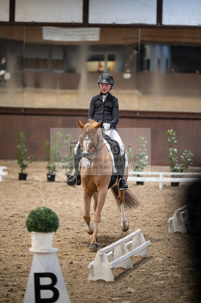 Hallenreittunier Voxtrup 2023 | Entdecke hochwertige Reitturnierfotos von Foto Oger. Professionell, emotional und authentisch – jetzt Lieblingsmomente im Shop bestellen. - Realisiert mit Pictrs.com