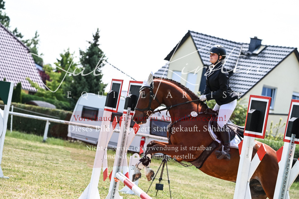 DSC_9839 | Pferde- und Turnierfotografie in Westsachsen. Pferdeportraits, Auftragszeichnungen und intuitive Kunst.