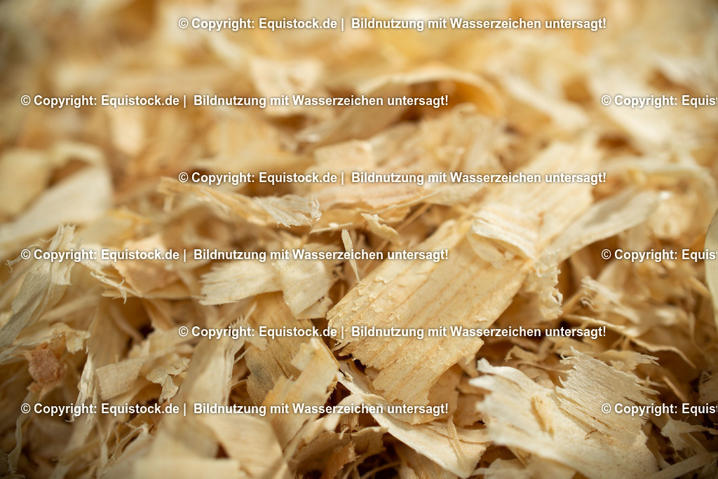 20190409_Rundholz-Span_0006 | Foto: Thomas Hartig