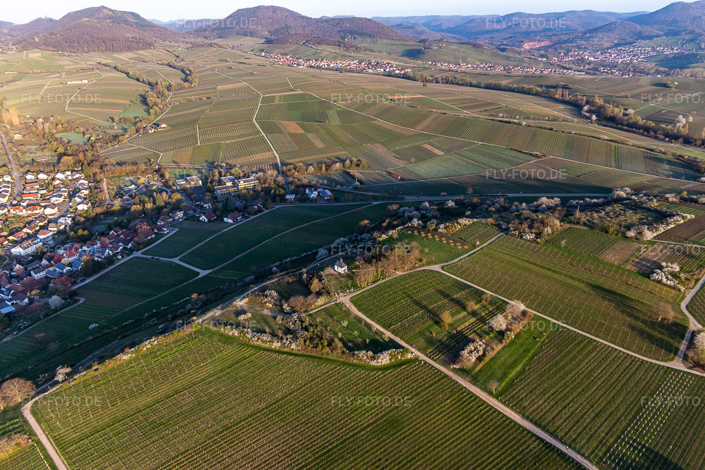 Luftbild: Kapelle 