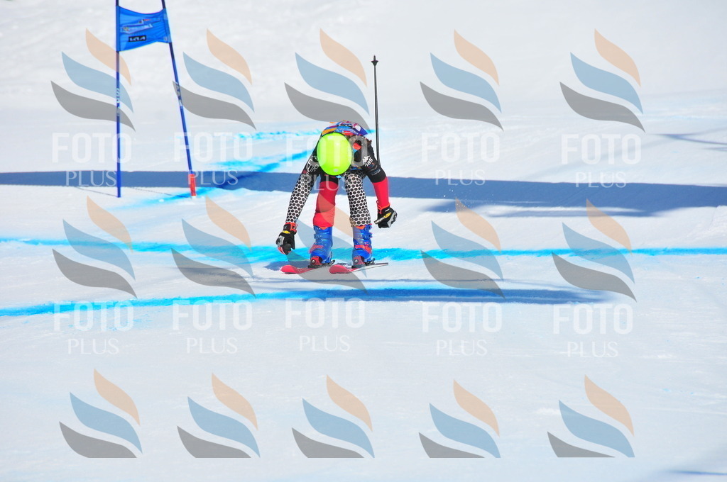 DSC_4673 | holidayphoto