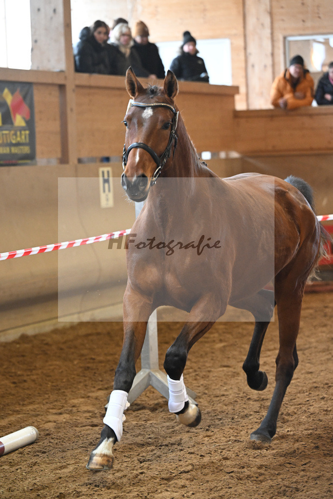 Kat-Nr. 43 Ehawee v. Colestus_Fischer_16251007 | hf-fotografie - Realisiert mit Pictrs.com