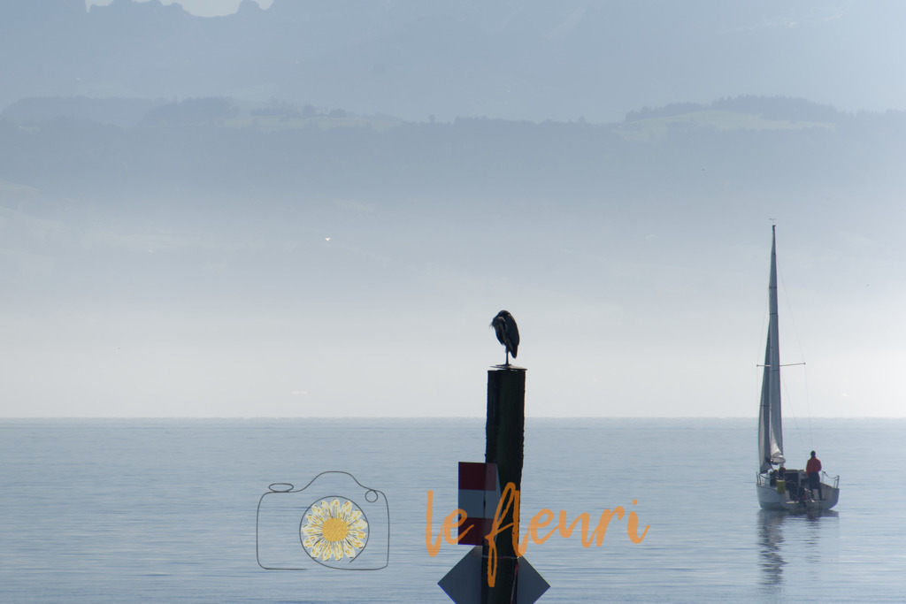 Überlingen | Dies ist der Shop von Florian Blum - le fleuri. Langenthal, Bern, Schweiz. Sie können hier meine oder ihre eigenen Fotos als Fotoprodukte kaufen. Tassen, Schlüsselanhänger, Taschen etc. können Sie hier gestalten.  - Realisiert mit Pictrs.com