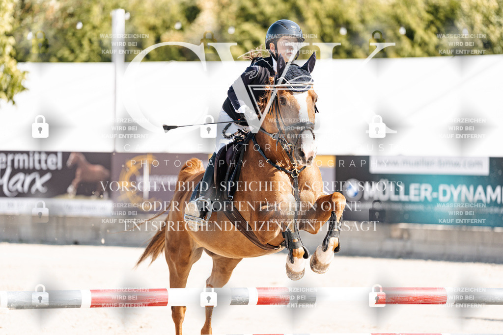 CK905173 | Turnierfotografie Pferdefotografie Trier Rheinland-Pfalz Pferdesport Reitsport Tierfotografie Sportfotografie Pferdevideo Pferdevideografie Equestrianvideography equestrianphotography  - Realisiert mit Pictrs.com