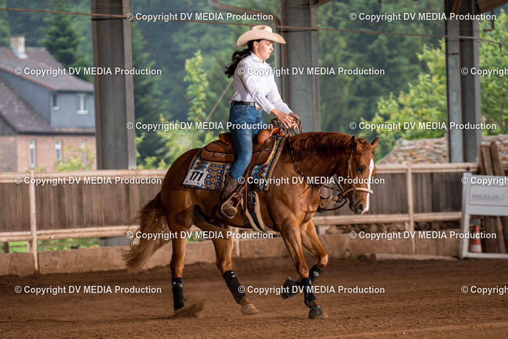 Erbach Tag 2-996 | dv-media-shop - Realisiert mit Pictrs.com