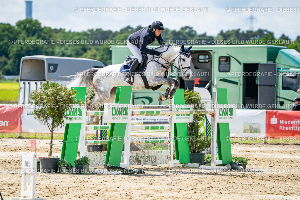 DSC04953 | Pferdegrafie