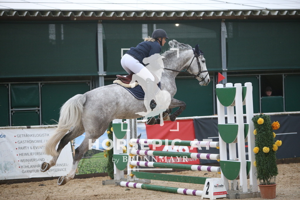 AS8V1572 | Willkommen bei Brunnmayr - Design & Fotografie – Ihrem Spezialisten für Reitturniere und Pferdeveranstaltungen in Oberösterreich, Salzburg und Bayern! Seit über 17 Jahren sind wir leidenschaftlich dabei.