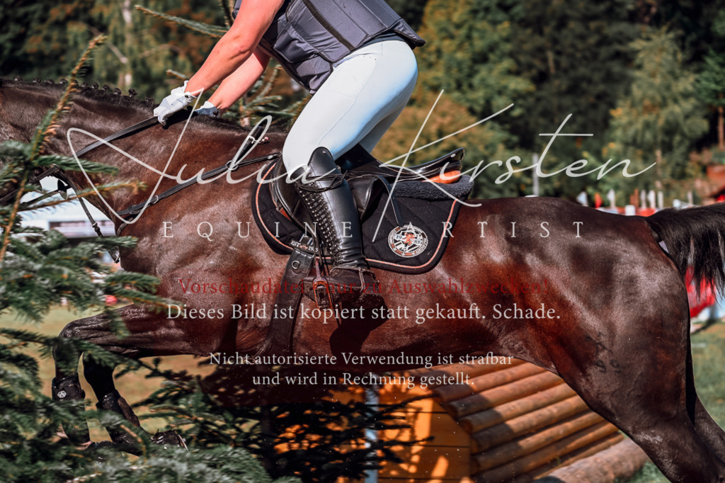 DSC_0602 | Pferde- und Turnierfotografie in Westsachsen. Pferdeportraits, Auftragszeichnungen und intuitive Kunst.