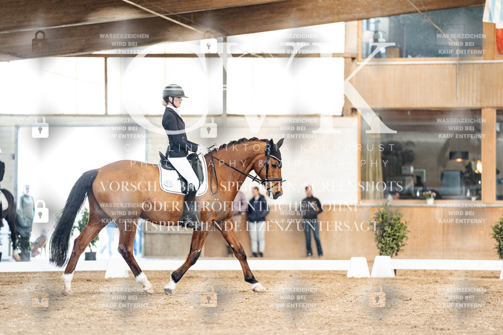 CK901090 | Turnierfotografie Pferdefotografie Trier Rheinland-Pfalz Pferdesport Reitsport Tierfotografie Sportfotografie Pferdevideo Pferdevideografie Equestrianvideography equestrianphotography  - Realized with Pictrs.com