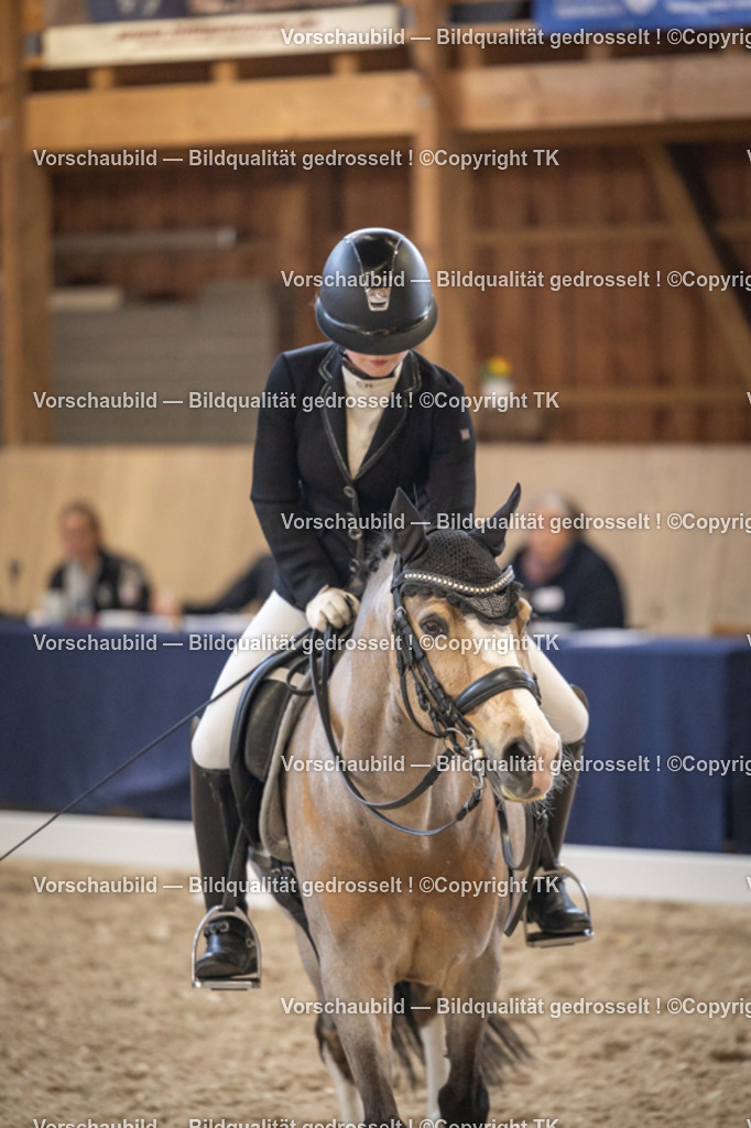 _D5A9119 | Emotionale Pferde- & People-Fotografie rund um Heidelberg, Leimen & Umgebung. Natürliche Fotos von Pferd, Mensch & Familie. Jetzt Termin sichern!