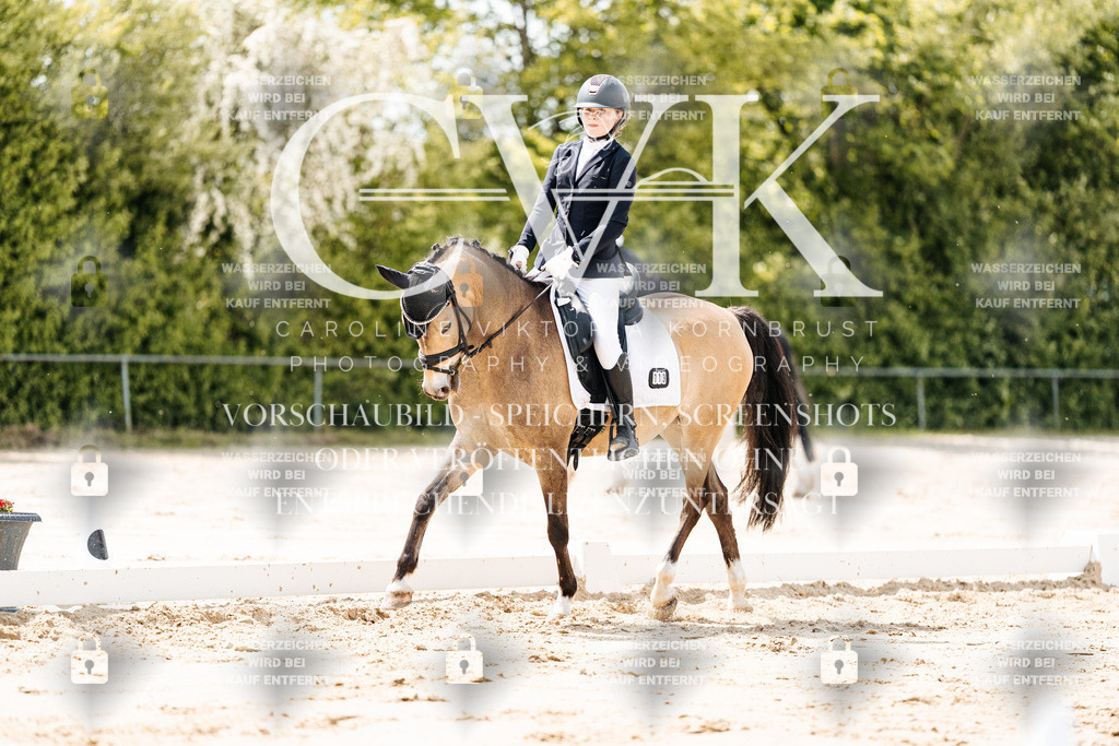 CK901813 | Turnierfotografie Pferdefotografie Trier Rheinland-Pfalz Pferdesport Reitsport Tierfotografie Sportfotografie Pferdevideo Pferdevideografie Equestrianvideography equestrianphotography  - Realisiert mit Pictrs.com