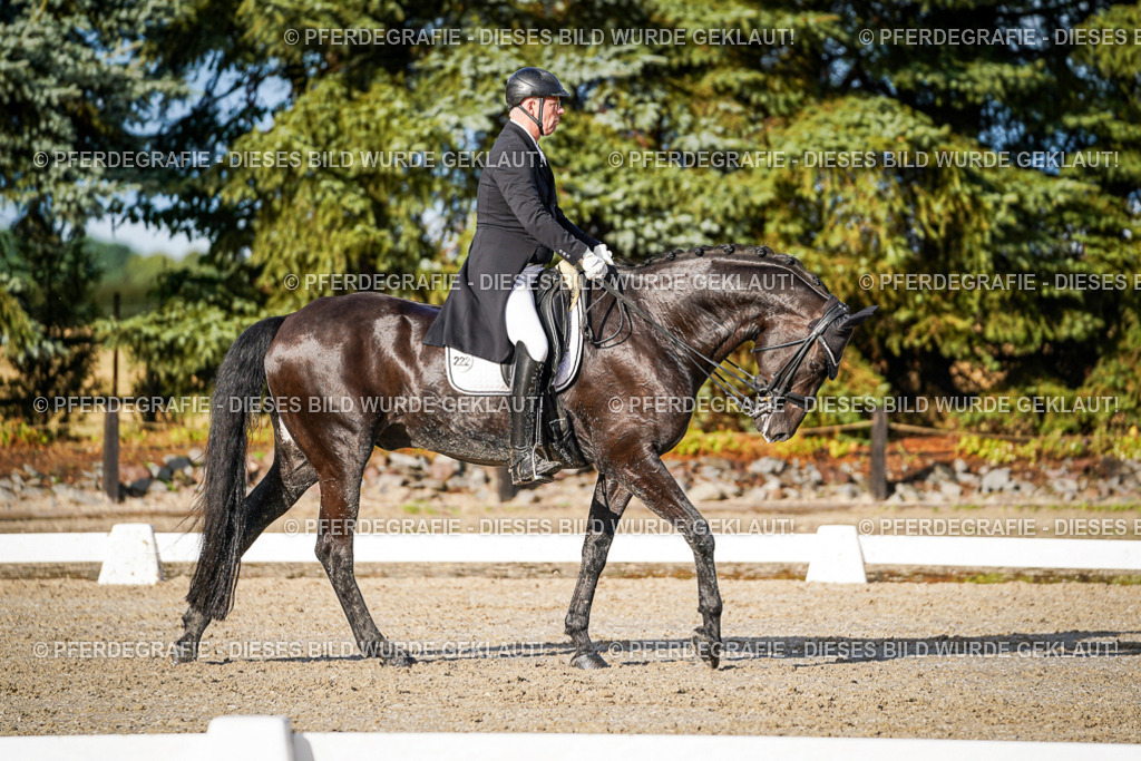 DSC00859 | Pferdegrafie