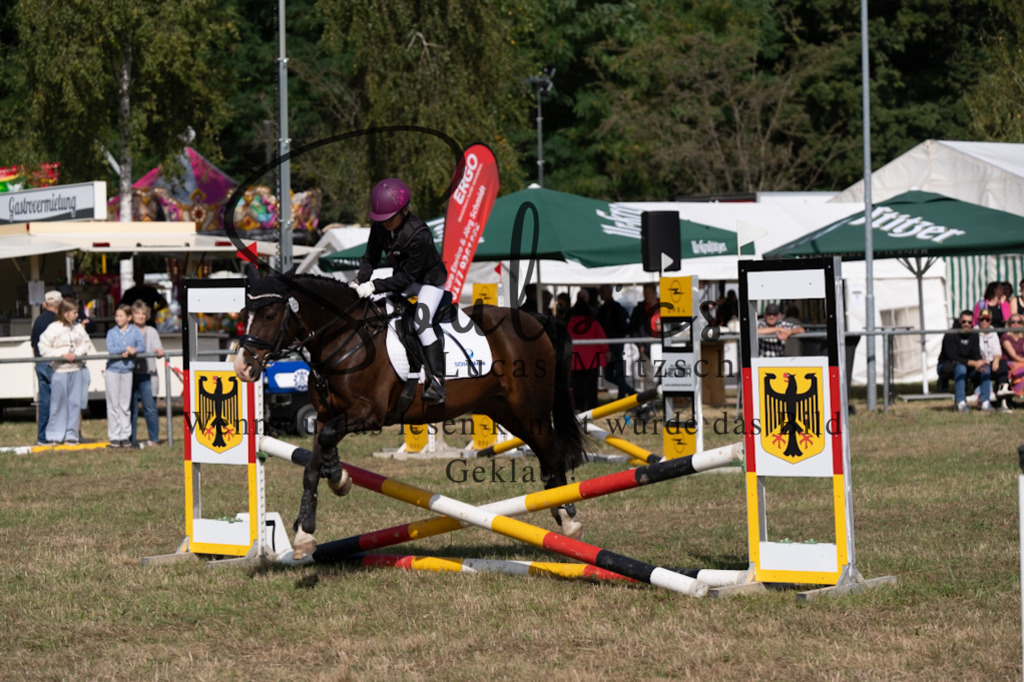 A7V08458 | Pferdefotograf