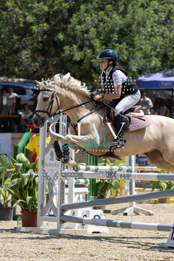 IMG_6331 | s-jay-photography - Realisiert mit Pictrs.com