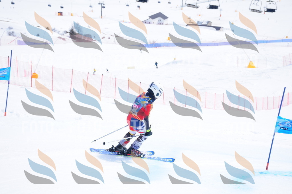 DSC_7382 | holidayphoto