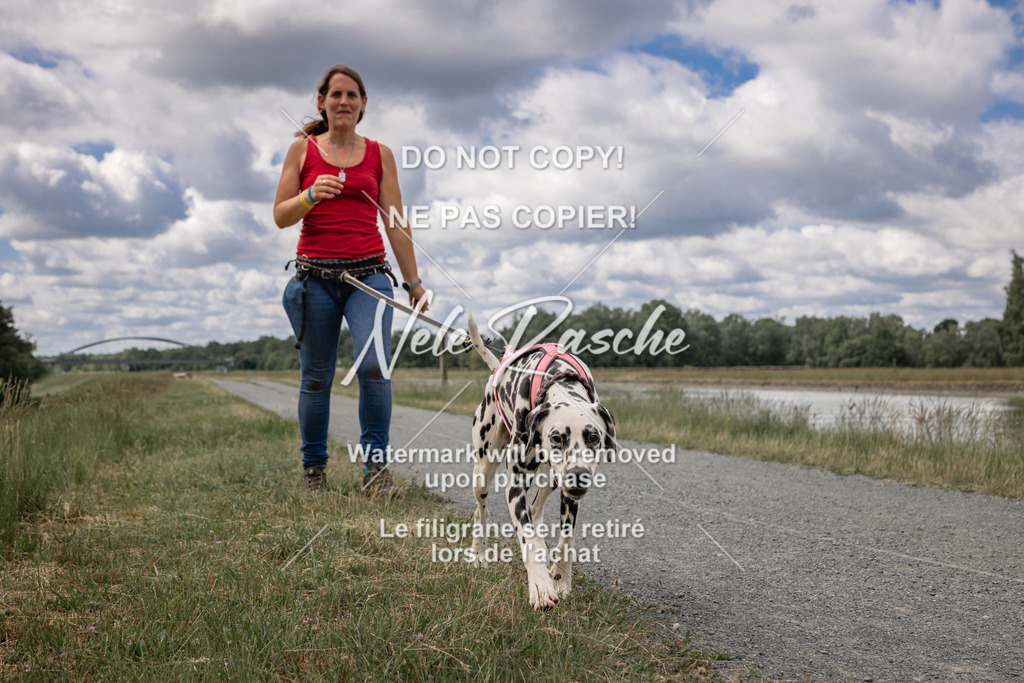 nelerasche_BuHu2026_SaCC1100-1200_80 | nelerasche