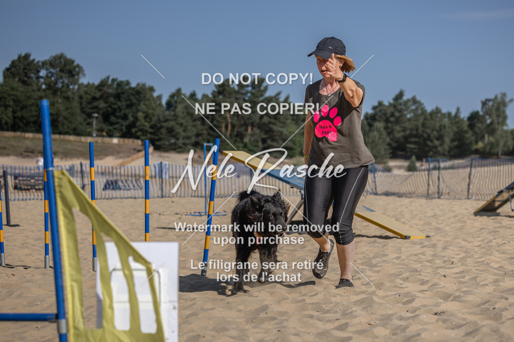 nelerasche_saBeachility_36 | nelerasche
