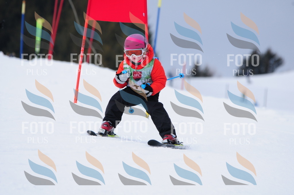 A3552 | holidayphoto