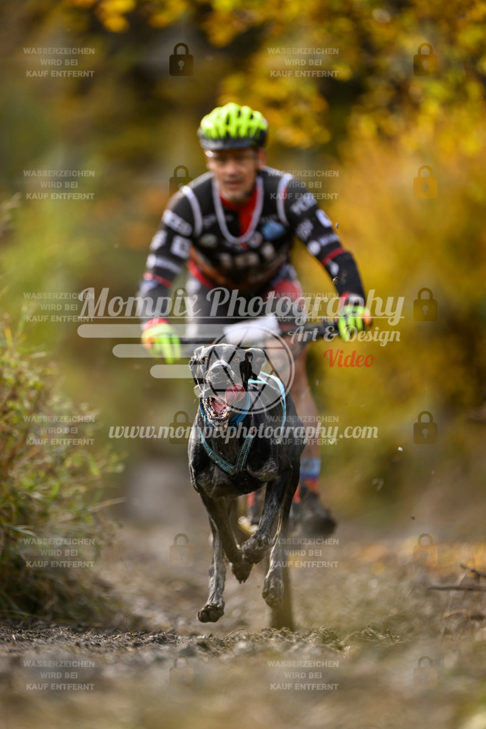 MompixPhotography_ICF_WC_2024_SA_Bike_-290 | PayLife