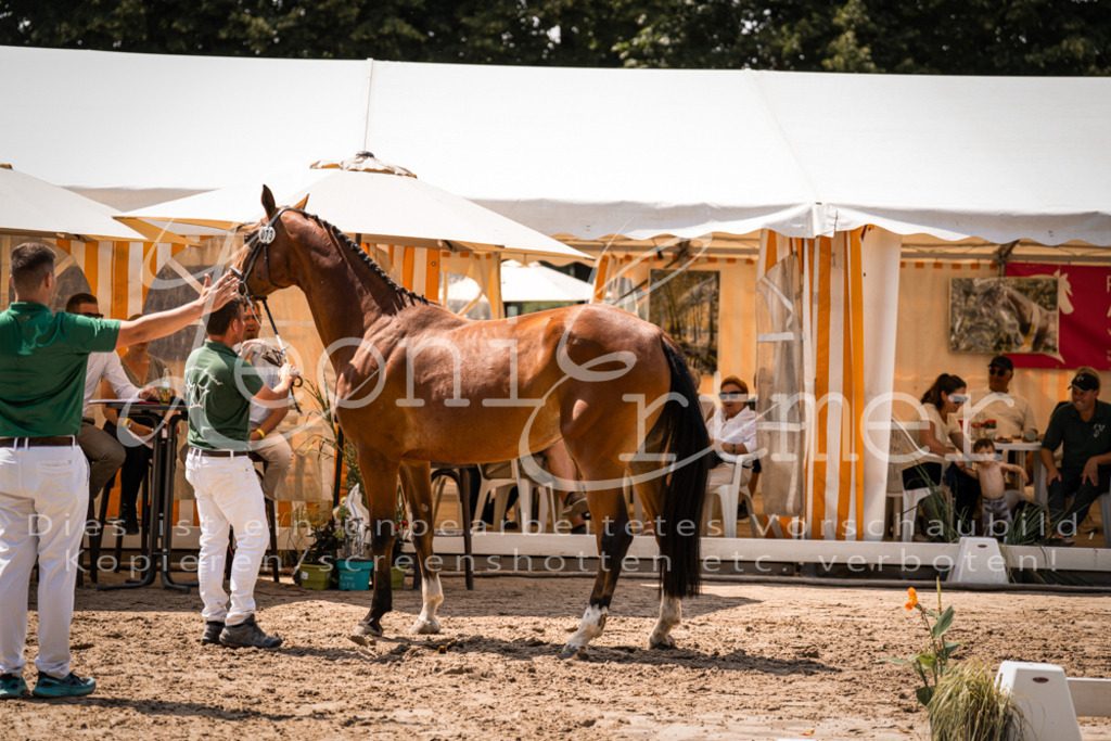 1.Fr00105 | Leoni Ertmer Photography - Realisiert mit Pictrs.com