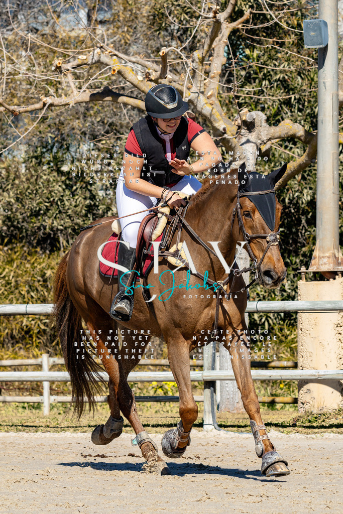 IMG_9262 | s-jay-photography - Realisiert mit Pictrs.com