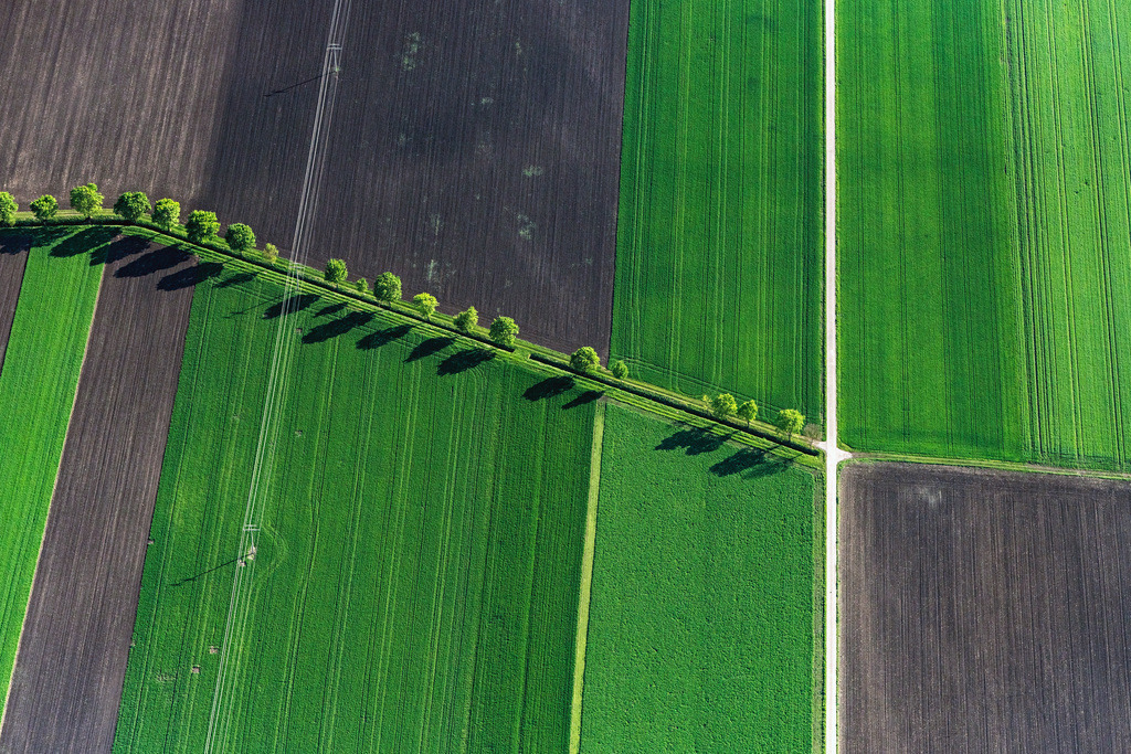 dr__0027218.jpg | NöRDLINGEN 14.05.2019 Baum mit Schattenbildung durch Lichteinstrahlung auf einem Feld in Nördlingen im Bundesland Bayern, Deutschland. // Tree with shadow forming by light irradiation on a field in Noerdlingen in the state Bavaria, Germany. Foto: Daniel Reiter