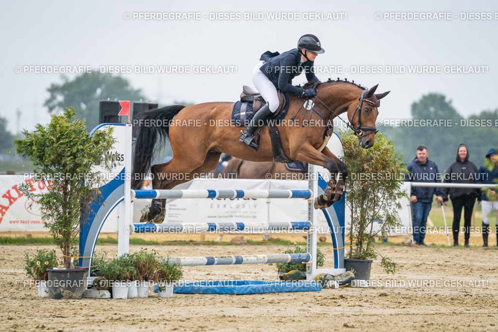 DSC03027 | Pferdegrafie