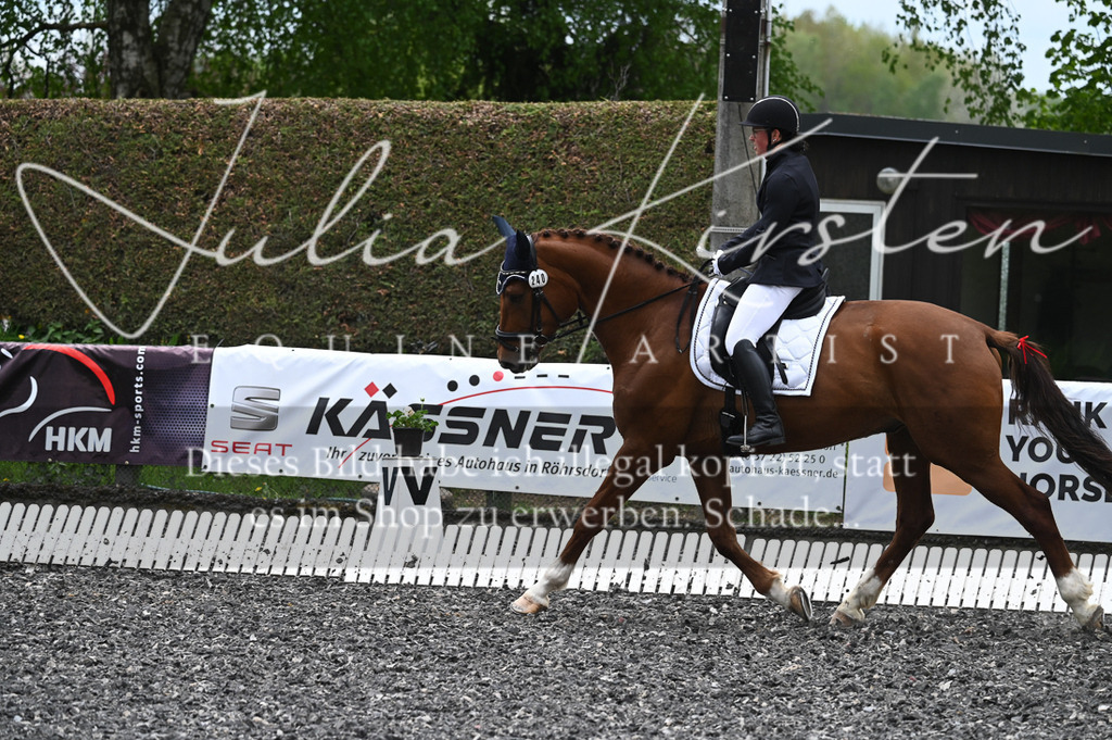 20230512_JK-Röhrsdorf-07-189 | Pferde- und Turnierfotografie in Westsachsen. Pferdeportraits, Auftragszeichnungen und intuitive Kunst.