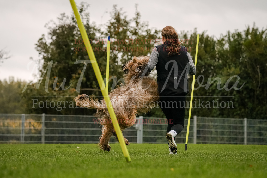 20251005_THS_Turnier-495 | MuT (Mensch und Tier) mit Mona - Fotografie und Tierkommunikation - Realisiert mit Pictrs.com