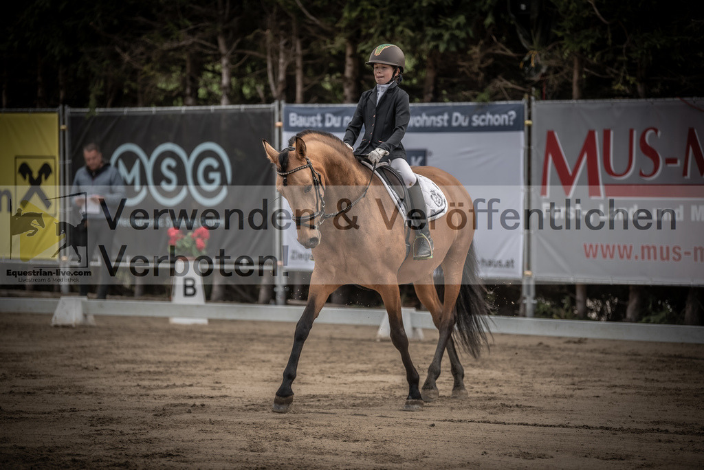 DSC_8410 | equestrian-live-com